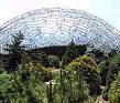 botanical gardens.jpg