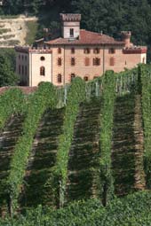 Barolo vineyards.jpg